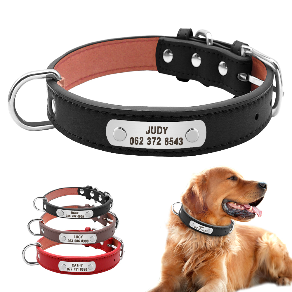 Dog Collar with Customizable ID Tag